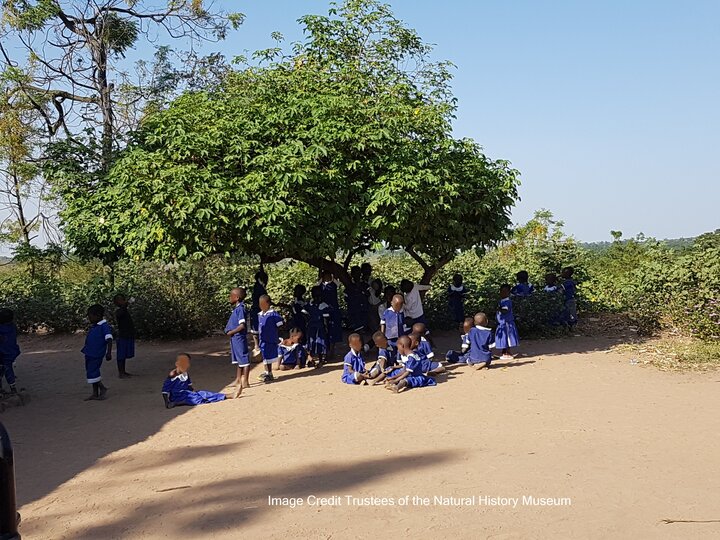 Children sitting under a tree. Image Credit Trustees of the Natural History Museum, London