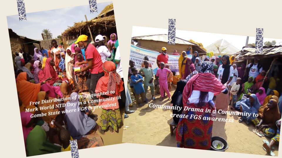 FGS Society of Nigeria Distributing Praziquantel (the drug was donated by private organizations, individuals, and a hospital service management board) to Zamfarawa Community where FGS survey was conducted.