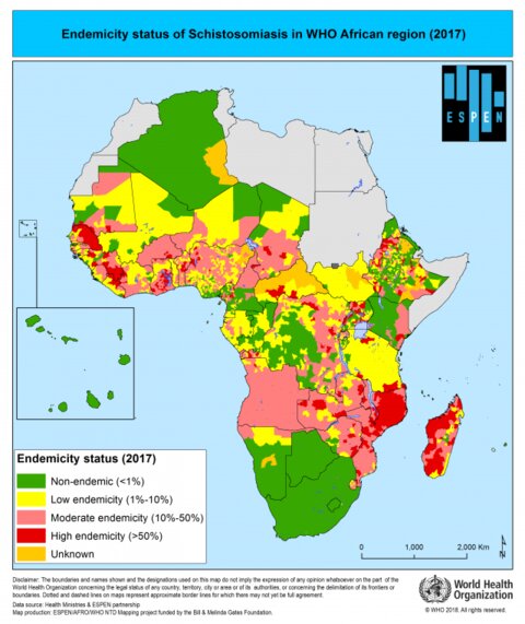 Map of African contact highlighting schistosomiasis endemicity. Copyright ESPEN