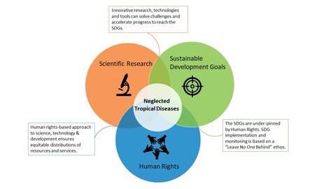 NTDs sit in a Venn Diagram where Scientific Research, Sustainable Development and Human Rights meet. The end of these diseases requires actors in all three areas to work together.