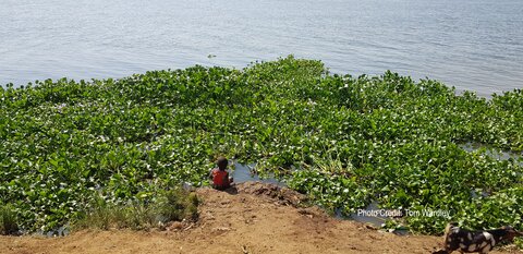 Child on the banks of the Nile, Kamuli. 