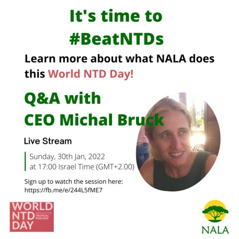 Ntd live 2025 stream
