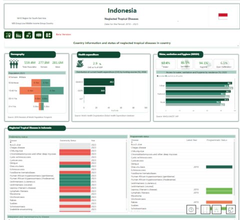 WHO NTD road map country profile - country information data visualisation for Indonesia 2010-2023 all NTDs