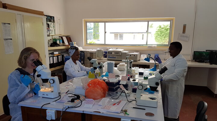 Three scientists working in a laboratory in sub-Saharan Africa